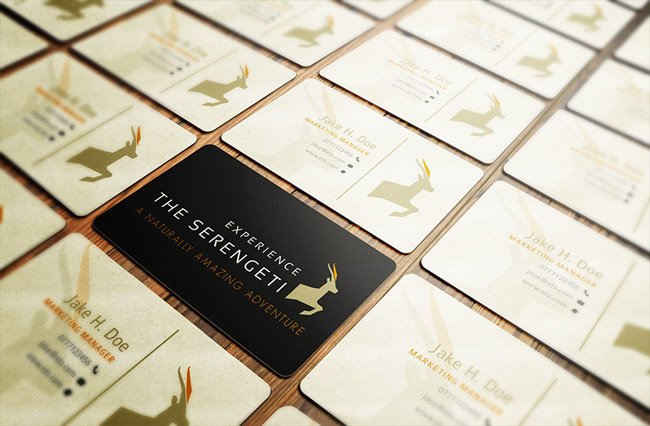 1. The Serengeti Biz Cards-Business Cards Designs