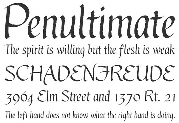 10. New Calligraphy Font-Gothic Ultra OT