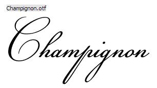 15.New Calligraphy Font-Champignon
