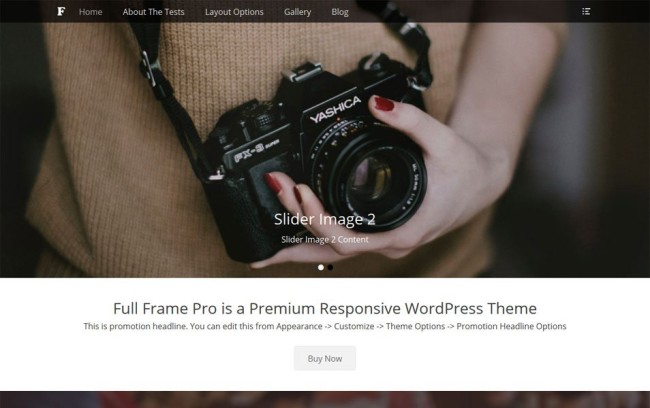 16. Full-Frame-WordPress-Theme