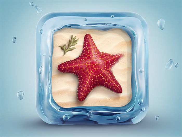 1p-starfish-icon