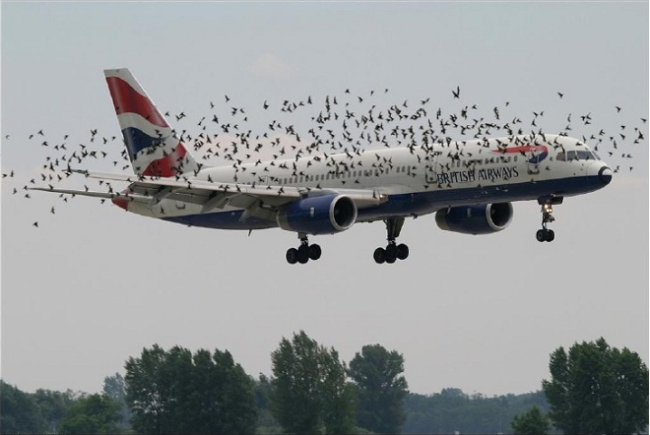40 Amazing Examples of Aviation Photography
