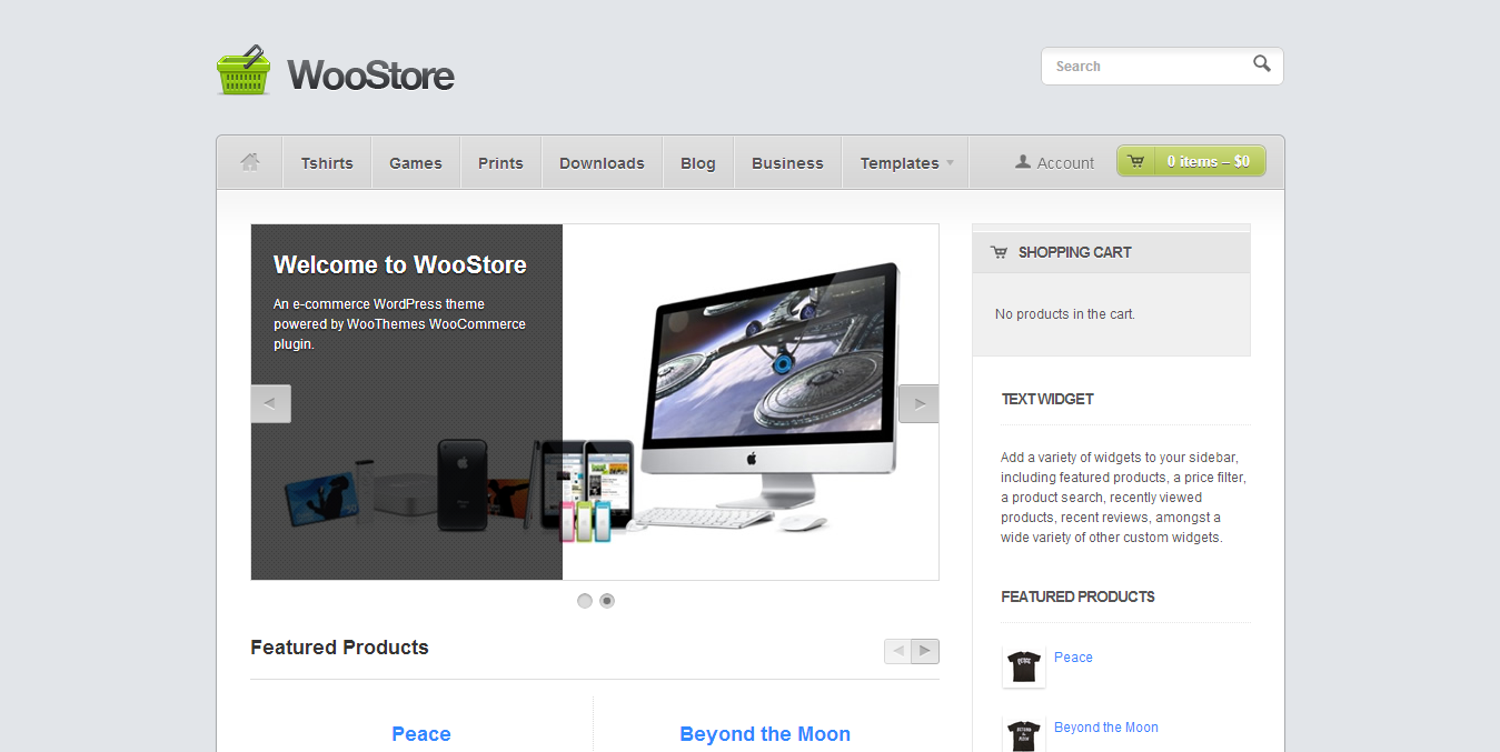 30+ Best Premium Responsive WordPress Themes 2013