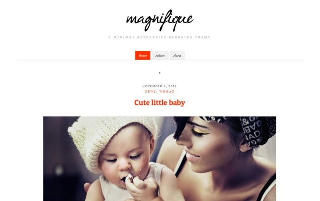20. Magnifique-WordPress-Theme