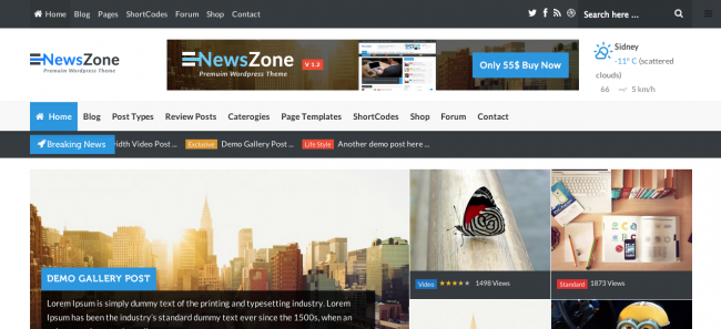 20. NewsZone - Premium Responsive WordPress Themes 2014