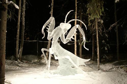 Wonderful- Creative -Ice Sculptures-29