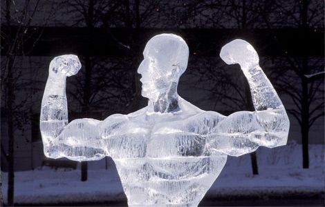 Wonderful- Creative -Ice Sculptures-47