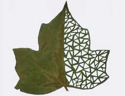 Cool-Cute-Leaf-Art-11