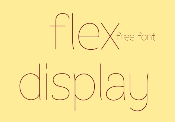 21. Flex Display