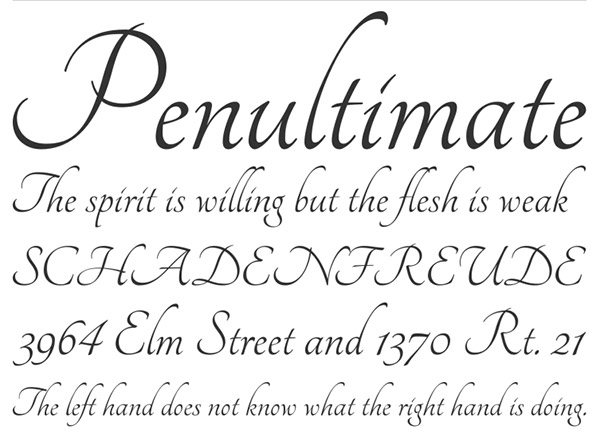 24. New Calligraphy Font-Tangerine