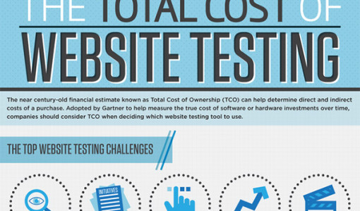 29. The Total Cost of Website Testing