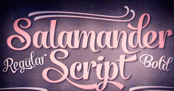 36. New Calligraphy Font-Salamander