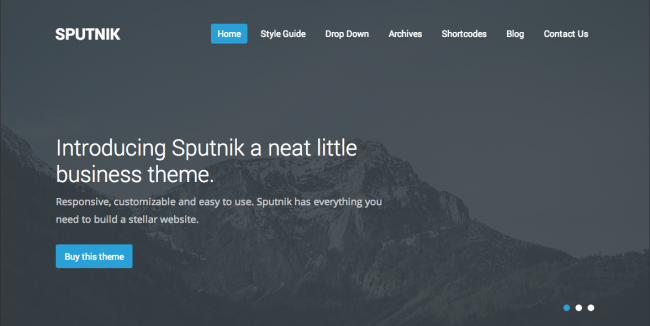 4. Sputnik - Premium Responsive WordPress Themes 2014