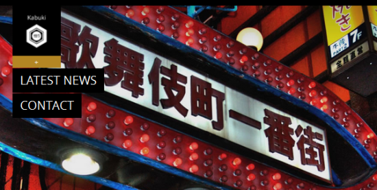 5. Kabuki – A full screen wordpress theme for agency