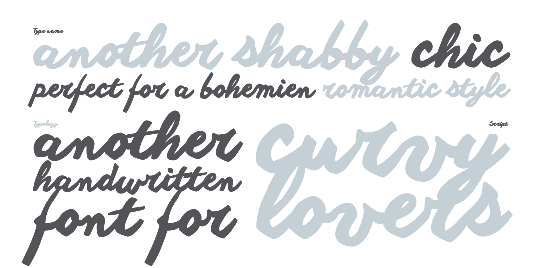 5. New Calligraphy Font-Another Shabby