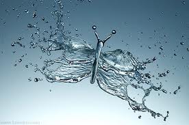 50 Pre-eminent Sparkler-Water-Splash-Notions-17