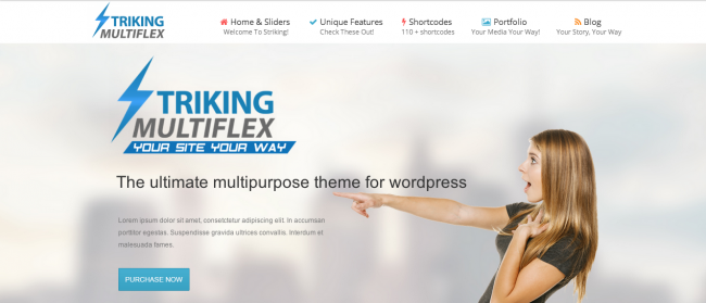 6. Striking - Premium Responsive WordPress Themes 2014