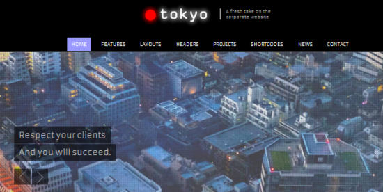 6. Toyko – A simple full screen business wordpress theme