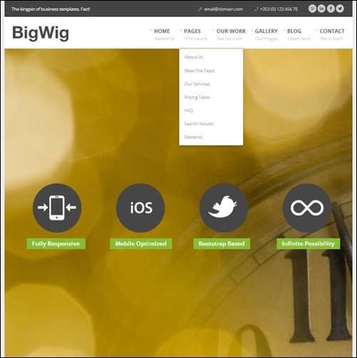 7. bigwig-html5-template-_thumb