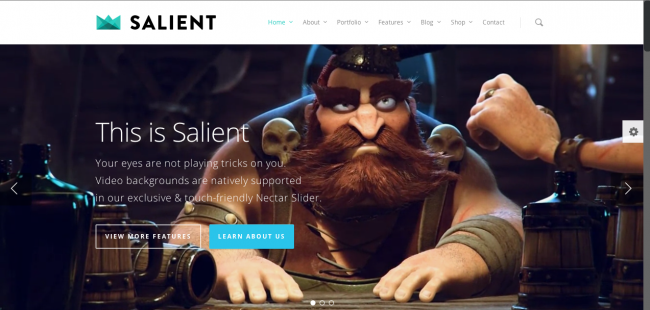 8. Salient - Premium Responsive WordPress Themes 2014
