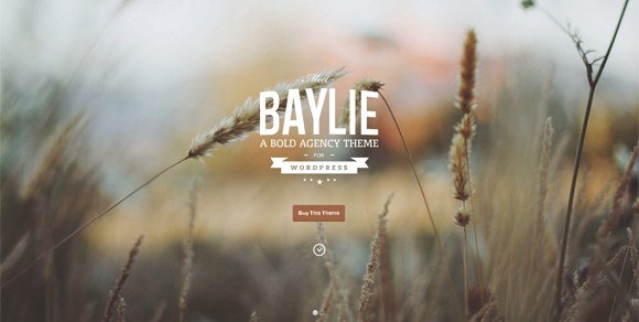 9. Baylie-Premium-Wordpress-Theme