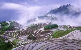 Amazing-And-Beautiful-Terrace-Farming-37