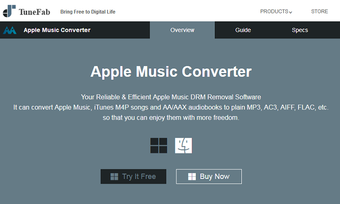 Apple Music Converter Interface