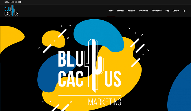 BlueCactus