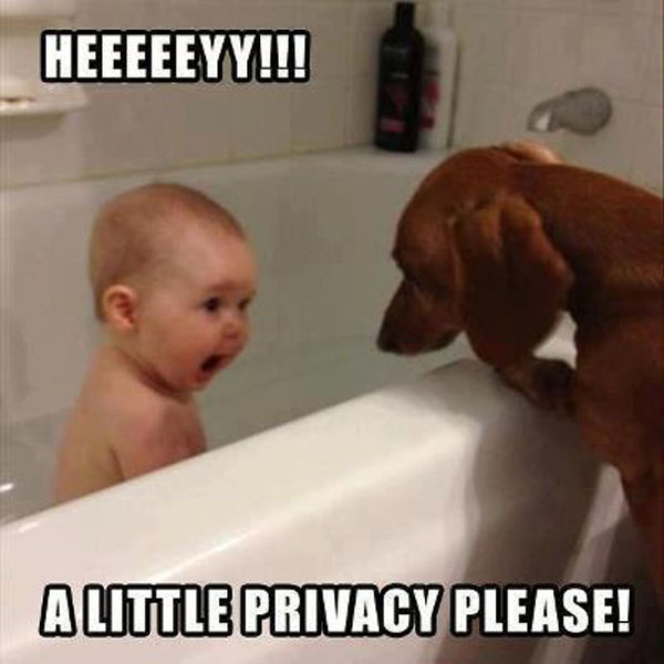 Cute Babies with Funny Quotes-9