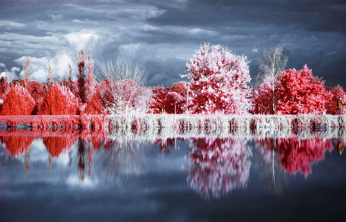 Fantastic-Mindboggling-Infrared-Photography-2