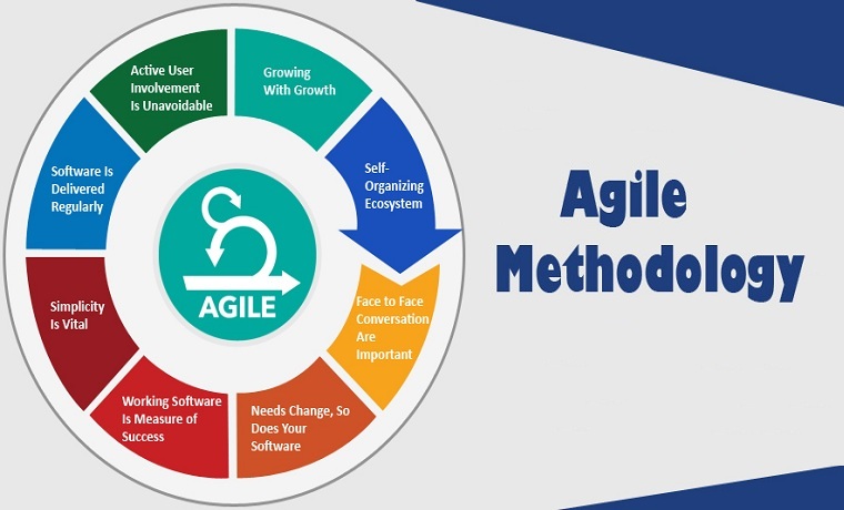 Why Agile Methodology is Needed for Mobile App Development?