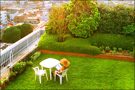 Pleasant-Terrace-Garden-5