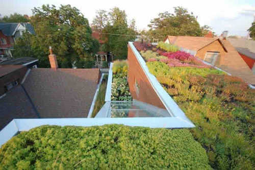 Pleasant-Terrace-Garden-9