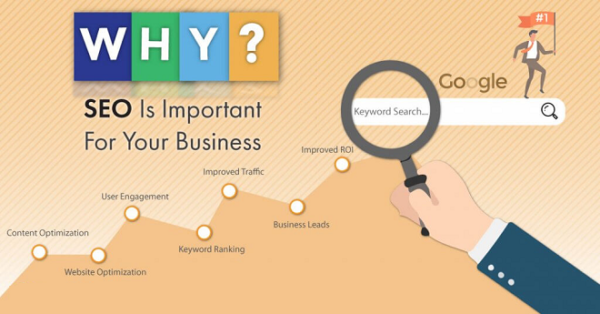 4 Key Reasons Why SEO is Important For Your Website