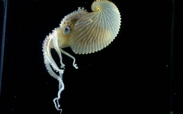 Amazing photos of creatures