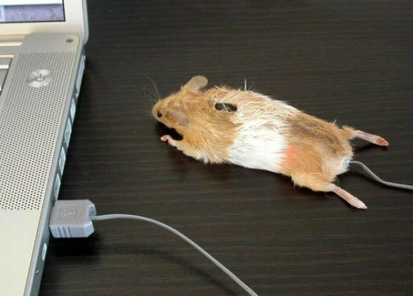 cool cute computer mouse-25