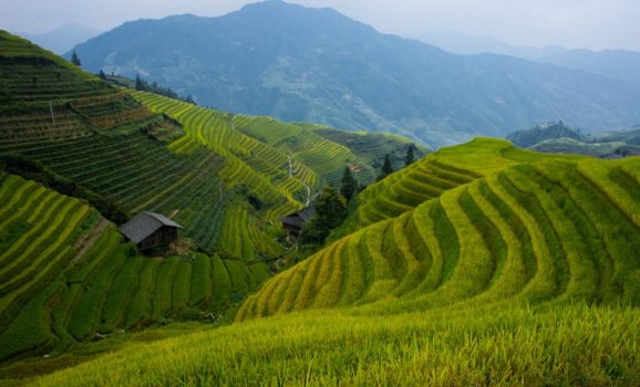 50+ Amazing-And-Beautiful-Terrace-Farming